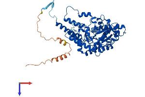 AlphaFold protein structure predicition of Mouse Recombinant Gadl1 Protein, UniprotID Q80WP8