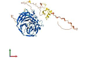 Protein Structure (PS) image for Recombination Activating Gene 2 (RAG2) (AA 1-527) protein (His tag) (ABIN7562961)