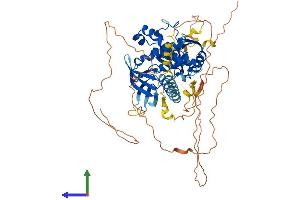 Protein Structure (PS) image for FERM Domain Containing 6 (FRMD6) (AA 1-622) protein (His tag) (ABIN7547767)