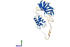 Protein Structure (PS) image for Replication Protein A2, 32kDa (RPA2) (AA 1-270) protein (His tag) (ABIN7563951)