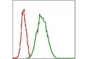 Flow cytometric analysis of Jurkat cells using G6PD mouse mAb (green) and negative control (red). (Glucose-6-Phosphate Dehydrogenase 抗体)