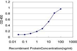 Detection limit for recombinant GST tagged HOXA5 is approximately 0. (HOXA5 抗体  (AA 171-270))
