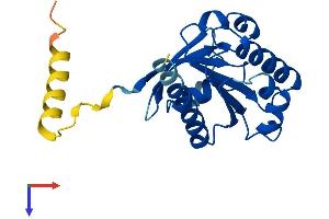 ARL15 Protein (AA 1-204) (His tag)