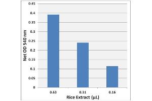 Starch Detection in Total Rice Extract using the Starch Assay Kit (Colorimetric) (Starch Assay Kit (Colorimetric))