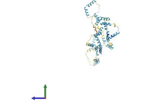 Protein Structure (PS) image for Nebulette (NEBL) (AA 1-452) protein (His tag) (ABIN7556937)
