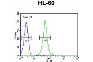 Flow Cytometry (FACS) image for anti-Retinal G Protein Coupled Receptor (RGR) (AA 262-291), (Middle Region) antibody (ABIN954529)