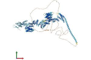 AlphaFold protein structure predicition of Mouse Recombinant Ctr9 Protein, UniprotID Q62018
