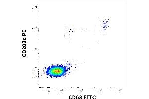 Flow cytometry dot-plot staining pattern of rBet v 1 recombinant allergen stimulated human peripheral whole blood lymphocytes and basophils of a proven allergic donor stained using anti-human CD63 (MEM-259) FITC and anti-human CD203c (NP4D6) PE antibodies . (PFN1 蛋白)
