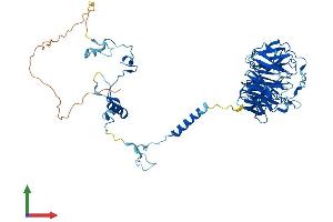 Protein Structure (PS) image for Cell Division Cycle 40 (CDC40) (AA 1-579) protein (His tag) (ABIN7561319)