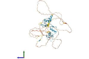 Protein Structure (PS) image for GLIS Family Zinc Finger 2 (GLIS2) (AA 1-524) protein (His tag) (ABIN7554017)