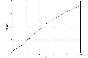 V-Fos FBJ Murine Osteosarcoma Viral Oncogene Homolog (FOS) ELISA Kit