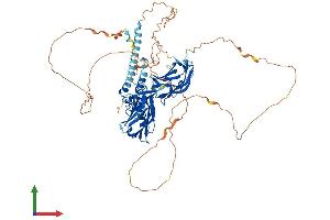 Protein Structure (PS) image for Rabphilin 3A (RPH3A) (AA 1-694) protein (His tag) (ABIN7551541)