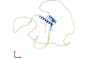 Protein Structure (PS) image for Cone-Rod Homeobox (CRX) (AA 1-299) protein (His tag) (ABIN7546770)