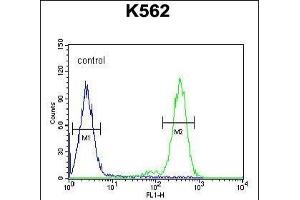 Flow Cytometry (FACS) image for anti-Receptor (Chemosensory) Transporter Protein 4 (RTP4) (AA 186-215), (C-Term) antibody (ABIN654495)