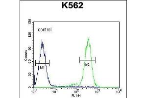 RTP4 Antibody (C-term) (ABIN654495 and ABIN2844227) flow cytometric analysis of K562 cells (right histogram) compared to a negative control(left histogram). (RTP4 抗体  (C-Term))