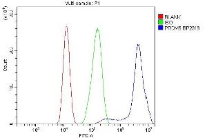 Flow Cytometry analysis of CACO-2 cells using anti-PRDM5 antibody (ABIN7600853). (PRDM5 抗体  (AA 24-630))