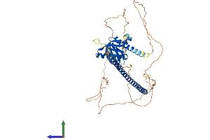 Protein Structure (PS) image for Nitric Oxide Synthase 1 (Neuronal) Adaptor Protein (NOS1AP) (AA 1-503) protein (His tag) (ABIN7560945)