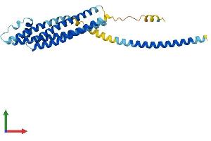 Protein Structure (PS) image for Syntaxin 1A (Brain) (STX1A) (AA 1-288) protein (His tag) (ABIN7546454)