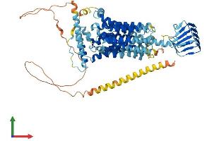 Protein Structure (PS) image for Synaptic Vesicle Glycoprotein 2A (SV2A) (AA 1-742) protein (His tag) (ABIN7555632)
