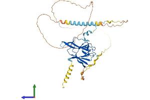 Protein Structure (PS) image for Smad Nuclear Interacting Protein 1 (SNIP1) (AA 1-396) protein (His tag) (ABIN7546328)