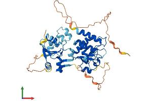 Protein Structure (PS) image for Dual Specificity Phosphatase 4 (DUSP4) (AA 1-394) protein (His tag) (ABIN7547180)