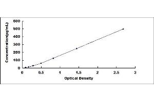 Typical standard curve