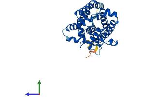 Protein Structure (PS) image for Cholesterol 25-Hydroxylase (CH25H) (AA 1-272) protein (His tag) (ABIN7553428)