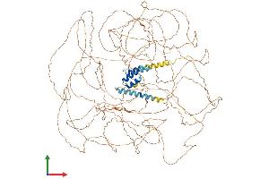 Protein Structure (PS) image for Treacher Collins-Franceschetti Syndrome 1 (TCOF1) (AA 1-1320) protein (His tag) (ABIN7562201)
