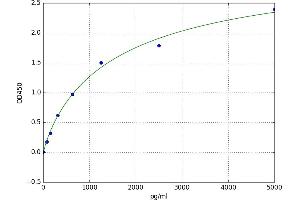 Methylase ELISA Kit