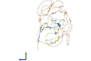 Protein Structure (PS) image for Cancer Susceptibility Candidate 3 (CASC3) (AA 1-698) protein (His tag) (ABIN7564660)