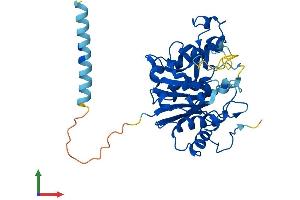 Protein Structure (PS) image for Glycosyltransferase 8 Domain Containing 2 (GLT8D2) (AA 1-349) protein (His tag) (ABIN7548028)