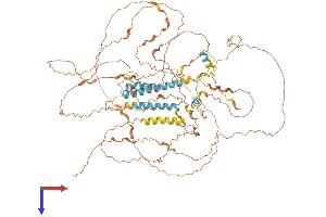 TROAP Protein (AA 1-778) (His tag)