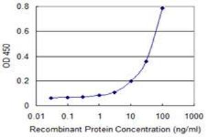 Detection limit for recombinant GST tagged PARVB is 1 ng/ml as a capture antibody. (Parvin, beta 抗体  (AA 1-350))