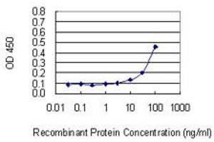 Detection limit for recombinant GST tagged GREM2 is 3 ng/ml as a capture antibody. (GREM2 抗体  (AA 1-168))