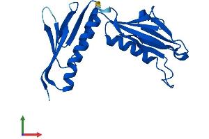 Protein Structure (PS) image for Ribosomal Protein L9 (RPL9) (AA 1-192) protein (His tag) (ABIN7563378)