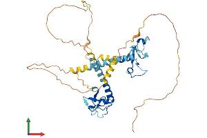 Protein Structure (PS) image for Muscleblind-like Protein 1 (MBNL1) (AA 1-388) protein (His tag) (ABIN7554491)