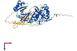 THUMPD3 Protein (AA 1-507) (His tag)