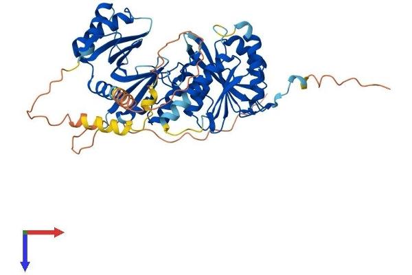 THUMPD3 Protein (AA 1-507) (His tag)