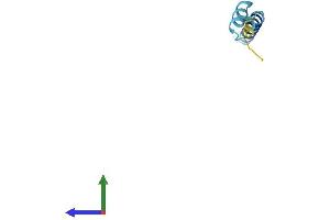 AlphaFold protein structure predicition of Mouse Recombinant Mtatp8 Protein, UniprotID P03930