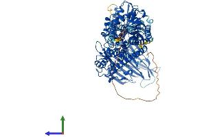 Protein Structure (PS) image for Endoplasmic Reticulum Metallopeptidase 1 (ERMP1) (AA 1-904) protein (His tag) (ABIN7553808)