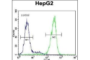 Flow Cytometry (FACS) image for anti-Nudix (Nucleoside Diphosphate Linked Moiety X)-Type Motif 15 (NUDT15) (AA 89-118), (C-Term) antibody (ABIN654983)