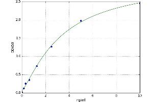 Epiphycan (EPYC) ELISA Kit