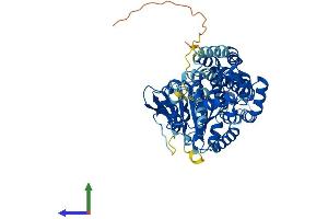 AlphaFold protein structure predicition of Human Recombinant EHD4 Protein, UniprotID Q9H223 (EHD4 Protein (AA 1-541) (His tag))