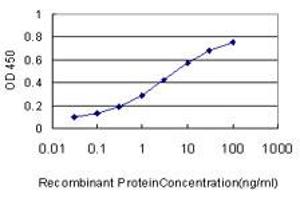 Detection limit for recombinant GST tagged HOXC13 is approximately 0. (HOXC13 抗体  (AA 132-231))