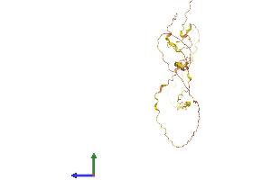 AlphaFold protein structure predicition of Human Recombinant BBC3 Protein, UniprotID Q96PG8 (PUMA Protein (AA 1-261) (His tag))