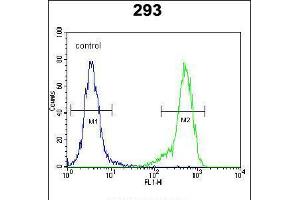 Flow cytometric analysis of 293 cells (right histogram) compared to a negative control cell (left histogram). (NDNF 抗体  (N-Term))