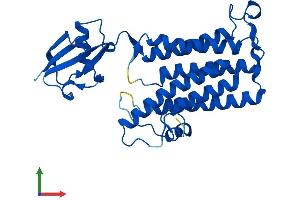Protein Structure (PS) image for Trans-2,3-Enoyl-CoA Reductase (TECR) (AA 1-308) protein (His tag) (ABIN7544207)