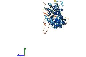 Protein Structure (PS) image for Organic Anion Transporter H (OATP-H) (AA 1-722) protein (His tag) (ABIN7564336)