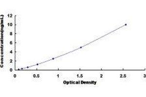 Neuropeptide Y Receptor Y5 (NPY5R) ELISA Kit