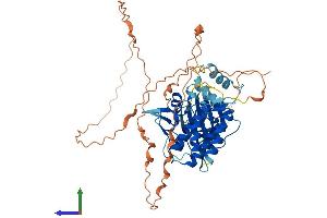 Protein Structure (PS) image for Serine/threonine Kinase 35 (STK35) (AA 1-534) protein (His tag) (ABIN7544037)